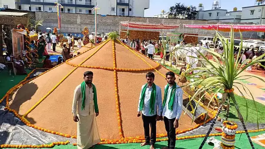 Anekal : एक प्रगतिशील किसान के हाथ में 350 क्विंटल बाजरा Anekal : एक प्रगतिशील किसान के हाथ में 350 क्विंटल बाजरा