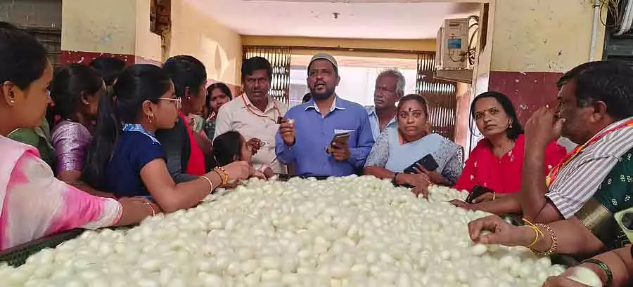 Shidlaghatta : चित्रदुर्ग के किसानों ने रेशमकीट बाजार का दौरा किया Shidlaghatta : चित्रदुर्ग के किसानों ने रेशमकीट बाजार का दौरा किया