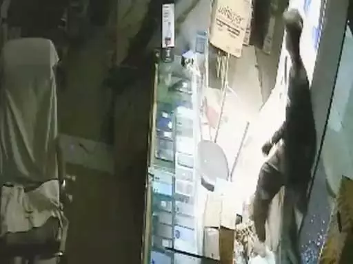 मोबाइल शॉप से स्मार्टफोन चुराता चोर CCTV में कैद मोबाइल शॉप से स्मार्टफोन चुराता चोर CCTV में कैद