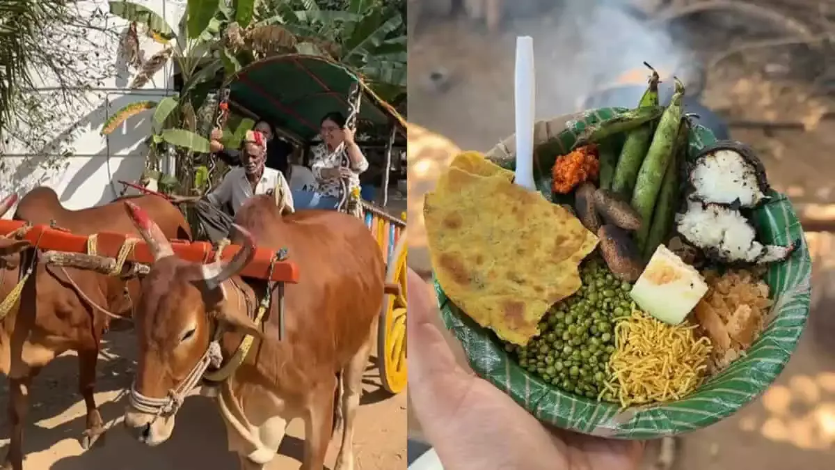 हुरडा पार्टी, हैदराबाद के पास महाराष्ट्र का एक हिस्सा अनुभव करें हुरडा पार्टी, हैदराबाद के पास महाराष्ट्र का एक हिस्सा अनुभव करें