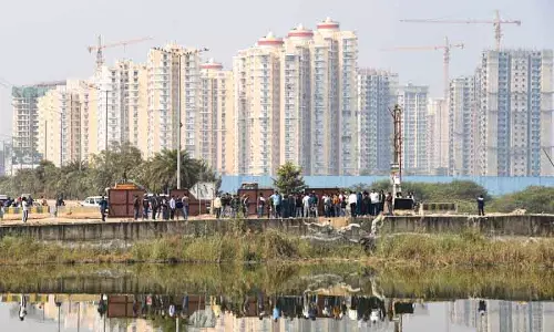 नोएडा के टेकिए की मौत: NGT ने स्वतः संज्ञान लिया