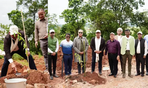 Meghalaya का ग्रीन मिशन: न्यू शिलांग में क्लाइमेट-रेज़िलिएंट एवेन्यू प्लांटेशन