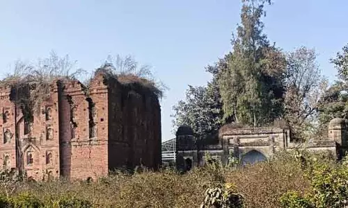 इन्द्री का शीश महल राज्य संरक्षित स्मारकों में शामिल होगा