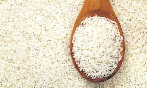 करनाल में 22 करोड़ के FCI चावल डिफ़ॉल्ट मामले में केस दर्ज