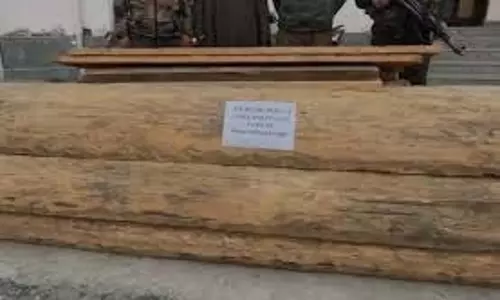 Jammu Kashmir :अवैध लकड़ी तस्करी का भंडाफोड़, आरोपी गिरफ्तार