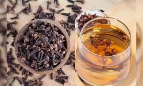 Clove Water Benefits: रात में सोने से पहले जरूर पिएं लौंग का पानी, गहरी नींद लाने में करेगा मदद