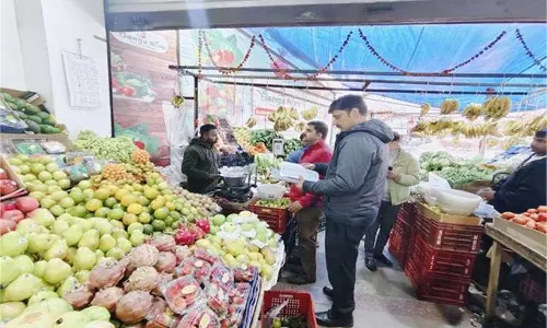 Himachal Pradesh: अधिक रेट वसूलने पर 346 किलो फल व सब्जियां जब्त Himachal Pradesh: अधिक रेट वसूलने पर 346 किलो फल व सब्जियां जब्त