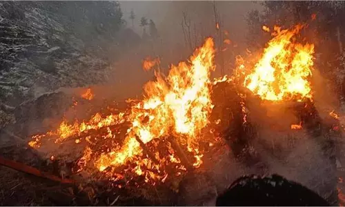 Himachal Pradesh :आग का तांडव, धू-धू कर जली गौशाला