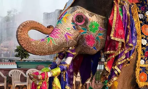 Activists ने जुलूसों में हाथियों के इस्तेमाल को लेकर सरकार से सवाल किया Activists ने जुलूसों में हाथियों के इस्तेमाल को लेकर सरकार से सवाल किया