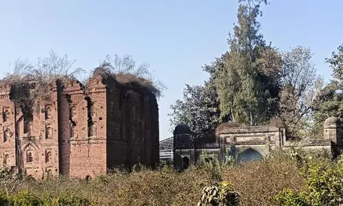 Haryana : इन्द्री का शीश महल राज्य संरक्षित स्मारकों में शामिल होगा