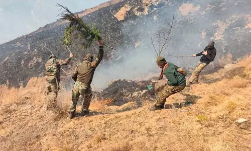 इको टास्क फोर्स ने Kullu में जंगल की आग बुझाई