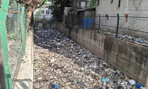 Chennai: MGR नगर मार्केट में कचरे की समस्या से व्यापारी परेशान, विरोध प्रदर्शन किया Chennai: MGR नगर मार्केट में कचरे की समस्या से व्यापारी परेशान, विरोध प्रदर्शन किया