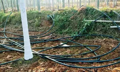 Karnataka : 30 से अधिक पंप सेट केबल चोरी