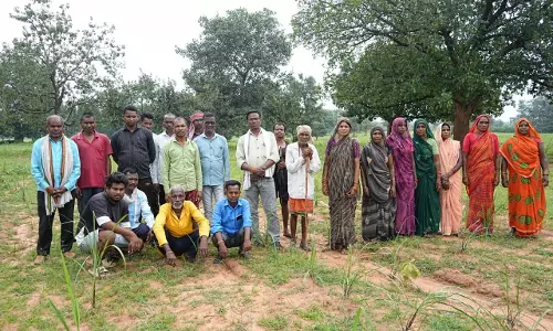लेमनग्रास की खेती से बदल रही छोटे किसानों की किस्मत