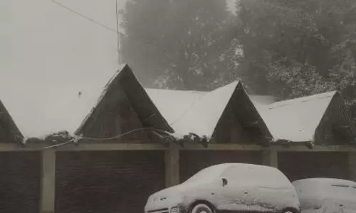 Shimla में ताज़ा बर्फबारी से किसानों को राहत मिली, पर्यटकों में उत्साह बढ़ा Shimla में ताज़ा बर्फबारी से किसानों को राहत मिली, पर्यटकों में उत्साह बढ़ा
