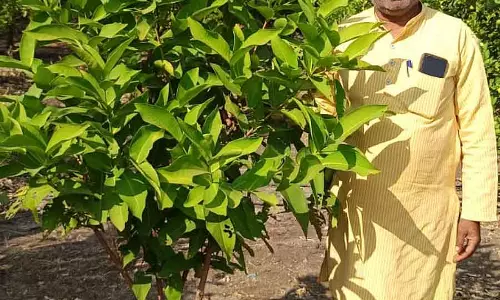 Karnataka : रिटायरमेंट के बाद जीवन के लिए एक सहारे के तौर पर व्यापक कृषि Karnataka : रिटायरमेंट के बाद जीवन के लिए एक सहारे के तौर पर व्यापक कृषि
