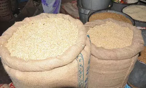 APMC को उम्मीद से ज़्यादा रिस्पॉन्स मिला: 5,863 किसानों ने ज्वार खरीदने के लिए रजिस्ट्रेशन कराया APMC को उम्मीद से ज़्यादा रिस्पॉन्स मिला: 5,863 किसानों ने ज्वार खरीदने के लिए रजिस्ट्रेशन कराया