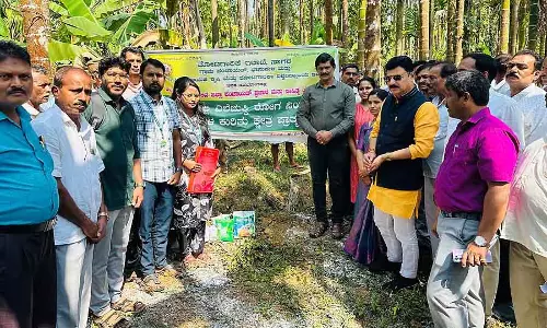 पत्ते पर धब्बे की बीमारी सुपारी उगाने वालों के लिए एक अभिशाप है: MLA पत्ते पर धब्बे की बीमारी सुपारी उगाने वालों के लिए एक अभिशाप है: MLA