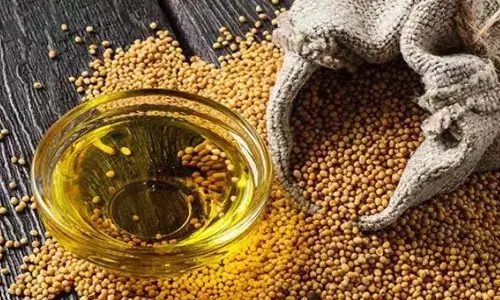 सरसों का तेल क्या हम इसे Use कर सकते हैं या अंदर ले सकते हैं? इसके स्वास्थ्य लाभ क्या हैं?