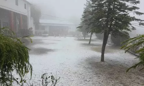 Solan के चायल में मौसम की पहली बर्फबारी हुई