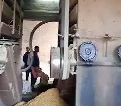 Kapurthala: राइस मिल में लगी भयानक आग, धान की बोरियां जलकर राख Kapurthala: राइस मिल में लगी भयानक आग, धान की बोरियां जलकर राख