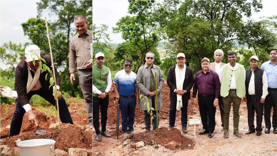 Meghalaya का ग्रीन मिशन: न्यू शिलांग में क्लाइमेट-रेज़िलिएंट एवेन्यू प्लांटेशन Meghalaya का ग्रीन मिशन: न्यू शिलांग में क्लाइमेट-रेज़िलिएंट एवेन्यू प्लांटेशन