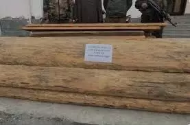 Jammu Kashmir :अवैध लकड़ी तस्करी का भंडाफोड़, आरोपी गिरफ्तार Jammu Kashmir :अवैध लकड़ी तस्करी का भंडाफोड़, आरोपी गिरफ्तार