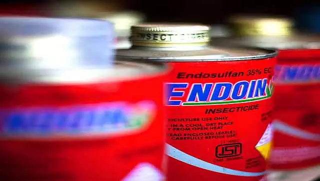 Endosulfan फिर सामने आया: यह बीमारी तीसरी पीढ़ी तक फैल गई है; उत्तर कन्नड़ में 543 मामले Endosulfan फिर सामने आया: यह बीमारी तीसरी पीढ़ी तक फैल गई है; उत्तर कन्नड़ में 543 मामले