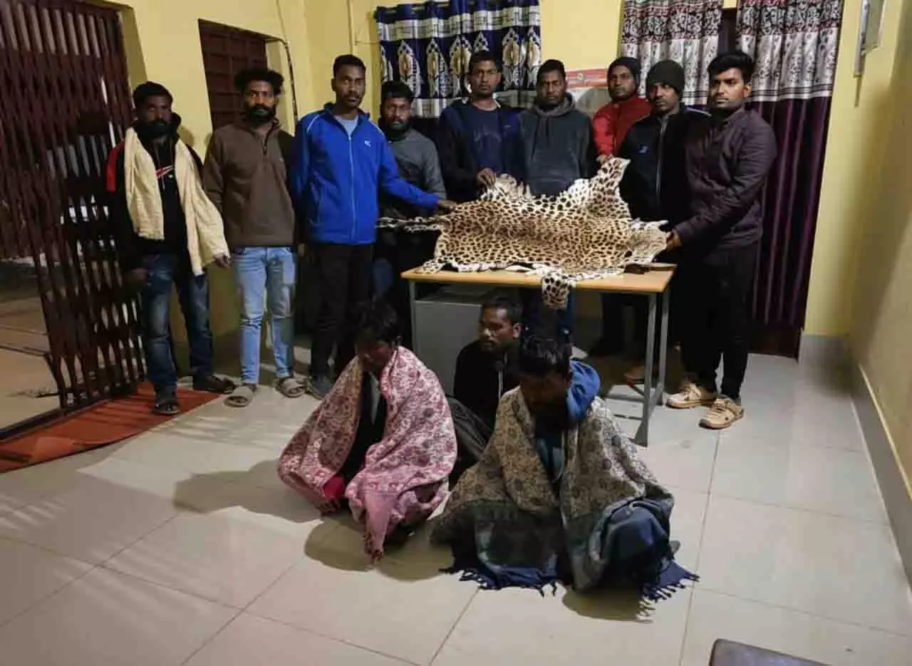 Nabarangpur में 5 लाख रुपये की तेंदुए की खाल ज़ब्त, 3 लोग गिरफ्तार Nabarangpur में 5 लाख रुपये की तेंदुए की खाल ज़ब्त, 3 लोग गिरफ्तार
