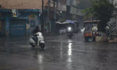 Karnal लंबे सूखे के बाद, किसानों ने खुशी की बारिश का स्वागत किया