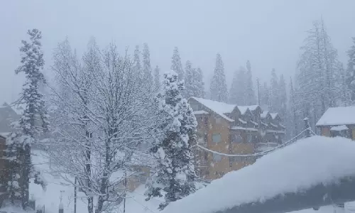 J&K में बर्फबारी से सड़कें जाम, बिजली कटौती, BRO श्रीनगर एयरपोर्ट खोलने में जुटा