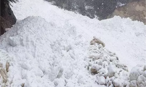 Uttarakhand:बारातियों से भरा वाहन बर्फ में फंसा, SDRF ने सुरक्षित बाहर निकाला Uttarakhand:बारातियों से भरा वाहन बर्फ में फंसा, SDRF ने सुरक्षित बाहर निकाला