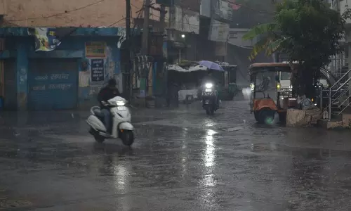 Haryana : लंबे सूखे के बाद, किसानों ने खुशी की बारिश का स्वागत किया