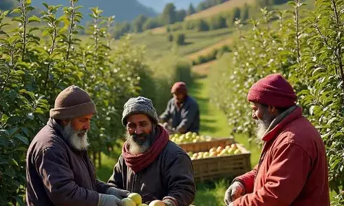 Kashmir के फल उत्पादकों ने 2025 के नुकसान के लिए मुआवज़े और बजटीय सहायता की मांग की