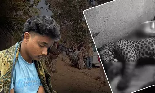 Cuttack में तेंदुए के हमले में युवक घायल, जानवर मारा गया Cuttack में तेंदुए के हमले में युवक घायल, जानवर मारा गया