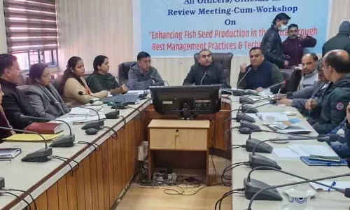 Himachal में मछली के बीज का उत्पादन दोगुना होने वाला है, विभाग के निदेशक चंदेल ने कहा