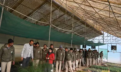 34 ट्रेनी रेंज फॉरेस्ट ऑफिसर ने Nauni University में 4-दिवसीय कार्यक्रम में हिस्सा लिया