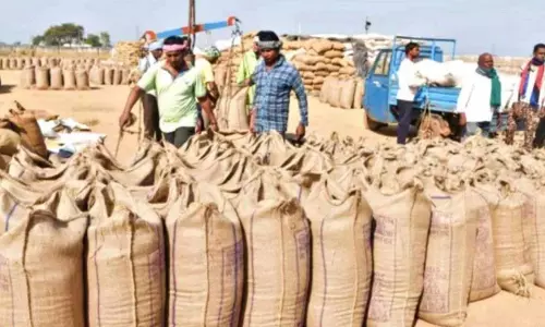 किसानों को झटका, मंत्री ने धान खरीदी की तारीख बढ़ाने को लेकर दिया बड़ा बयान