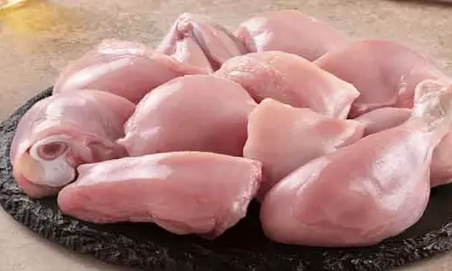 चिकन लवर्स को झटका: Chicken मीट की कीमतों में भारी बढ़ोतरी चिकन लवर्स को झटका: Chicken मीट की कीमतों में भारी बढ़ोतरी