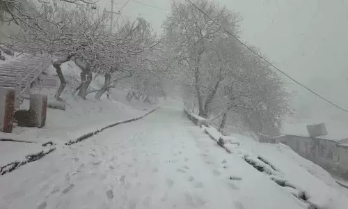 Kasauli, चैल, डगशाई में सफेद आवरण है Kasauli, चैल, डगशाई में सफेद आवरण है