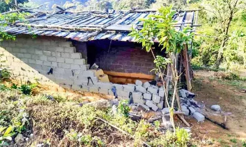 Idukki में जंगली जानवरों का आतंक; घर तबाह, खेती को भारी नुकसान Idukki में जंगली जानवरों का आतंक; घर तबाह, खेती को भारी नुकसान