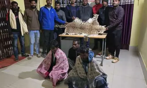 Nabarangpur तेंदुए की खाल ज़ब्त, तीन लोग गिरफ्तार Nabarangpur तेंदुए की खाल ज़ब्त, तीन लोग गिरफ्तार