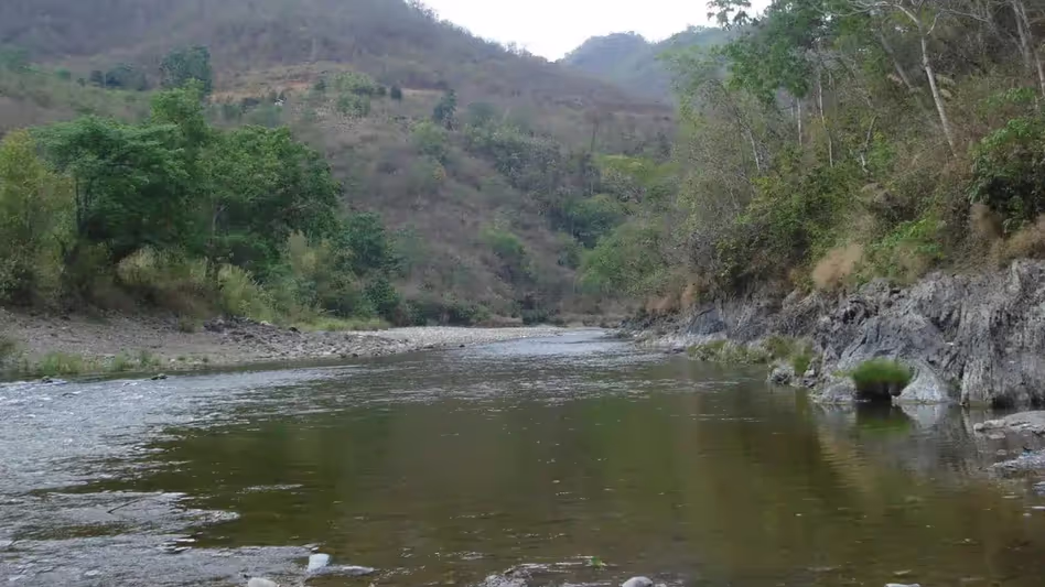 Nagaland ने तिजू-जुंगकी को नेशनल वॉटरवे-101 घोषित करने के केंद्र सरकार के फैसले का स्वागत किया Nagaland ने तिजू-जुंगकी को नेशनल वॉटरवे-101 घोषित करने के केंद्र सरकार के फैसले का स्वागत किया