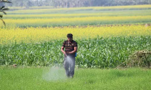 Punjab कृषि विभाग ने ऑनलाइन बेचे जा रहे नकली कीटनाशकों पर कार्रवाई तेज़ की