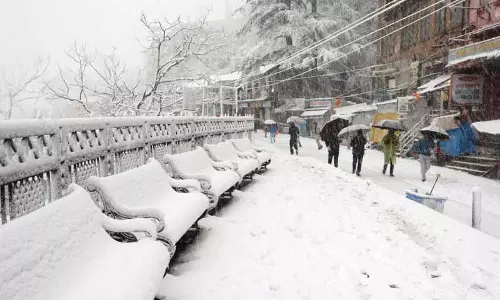 Himachal में बर्फबारी और बारिश से किसानों को राहत मिली, जनजीवन अस्त-व्यस्त हो गया