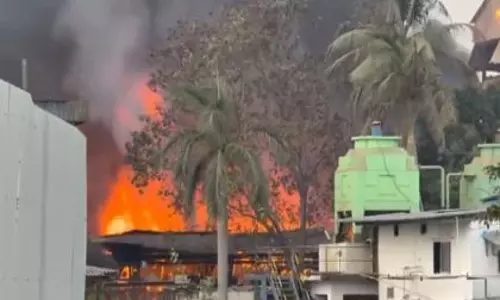 Navi Mumbai: एमआईडीसी पावने इलाके में केमिकल फैक्ट्री में भीषण आग लगी