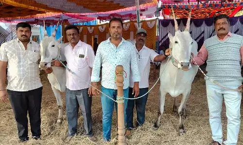 Mudukuthore मेला: मवेशियों की नीलामी पूरे ज़ोरों पर