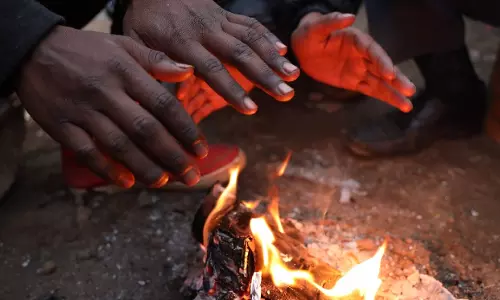 Study: सर्दियों में घर पर लकड़ी जलाने से बढ़ रहा वायु प्रदूषण
