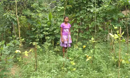 Assam: गुवाहाटी में पैनल चर्चा में स्वदेशी खाद्य प्रणालियों पर ध्यान केंद्रित किया