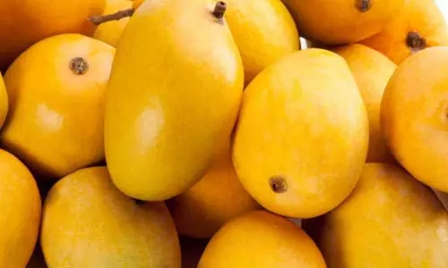 Alphonso आम पुणे में आ गए हैं; कीमतें आपको हैरान कर सकती !